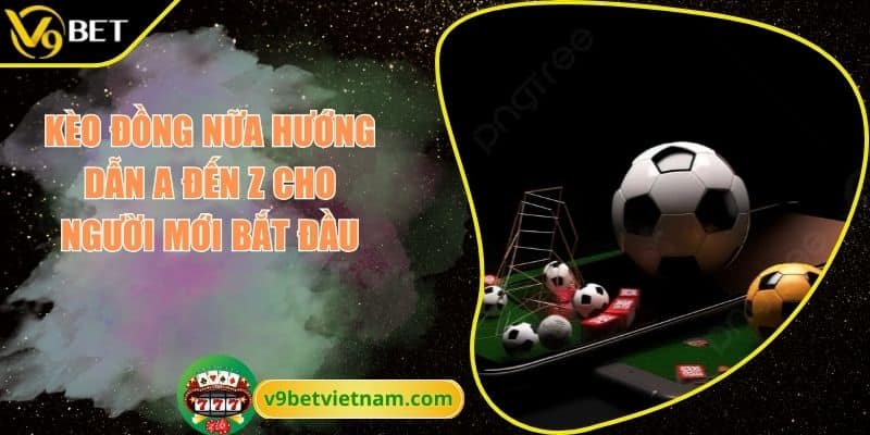 Kèo Đồng Nữa Hướng Dẫn A Đến Z Cho Người Mới Bắt Đầu 12 Kèo Đồng Nữa