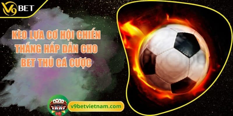 Kèo Lựa Cơ Hội Chiến Thắng Hấp Dẫn Cho Bet Thủ Cá Cược 10 Kèo lựa